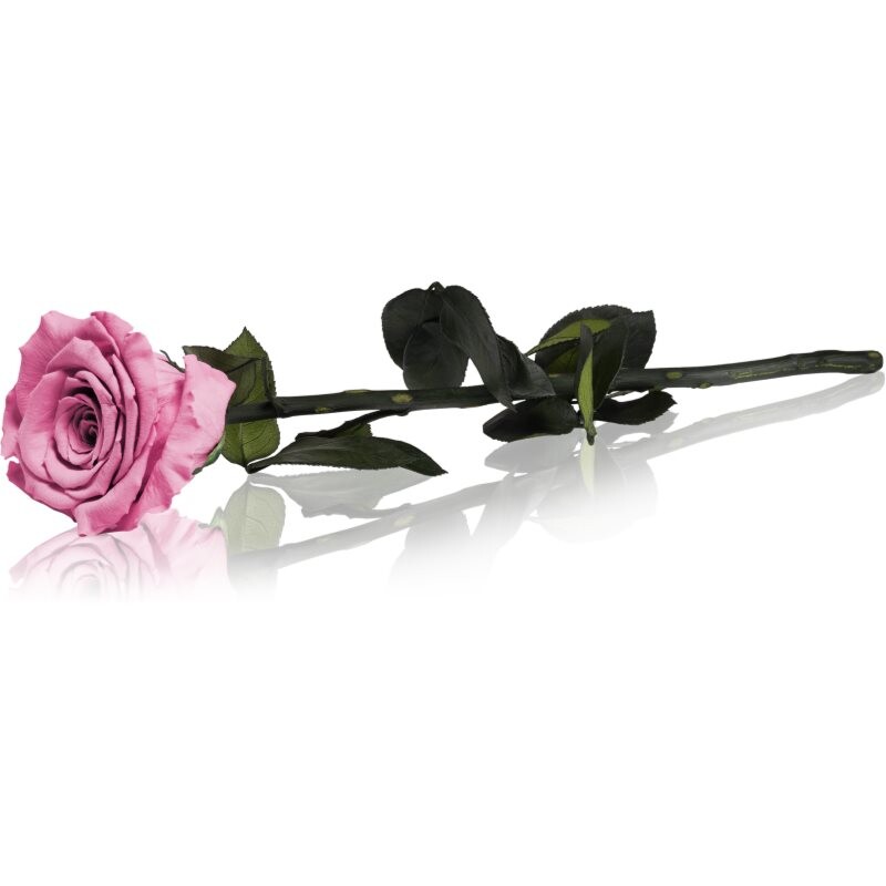RoseAmor Pink stabilised rose on a stalk 30 cm 1 pc