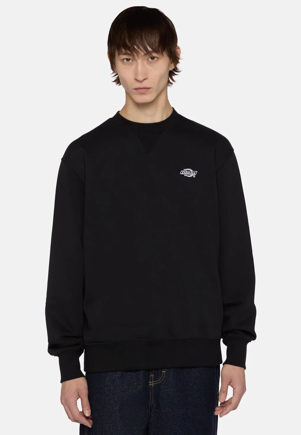 Dickies - Summerdale Black - Sweater