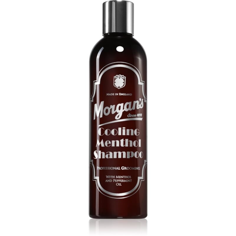 Morgan's Cooling Menthol Shampoo invigorating mint shampoo for hair and scalp for men 250 ml