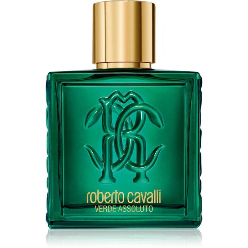 Roberto Cavalli Uomo Verde Assoluto eau de parfum for men 100 ml