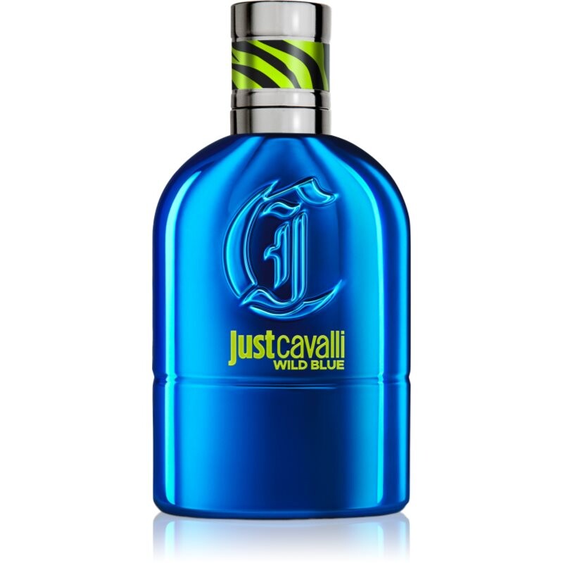 Roberto Cavalli Just Cavalli Wild Blue eau de toilette for men 30 ml
