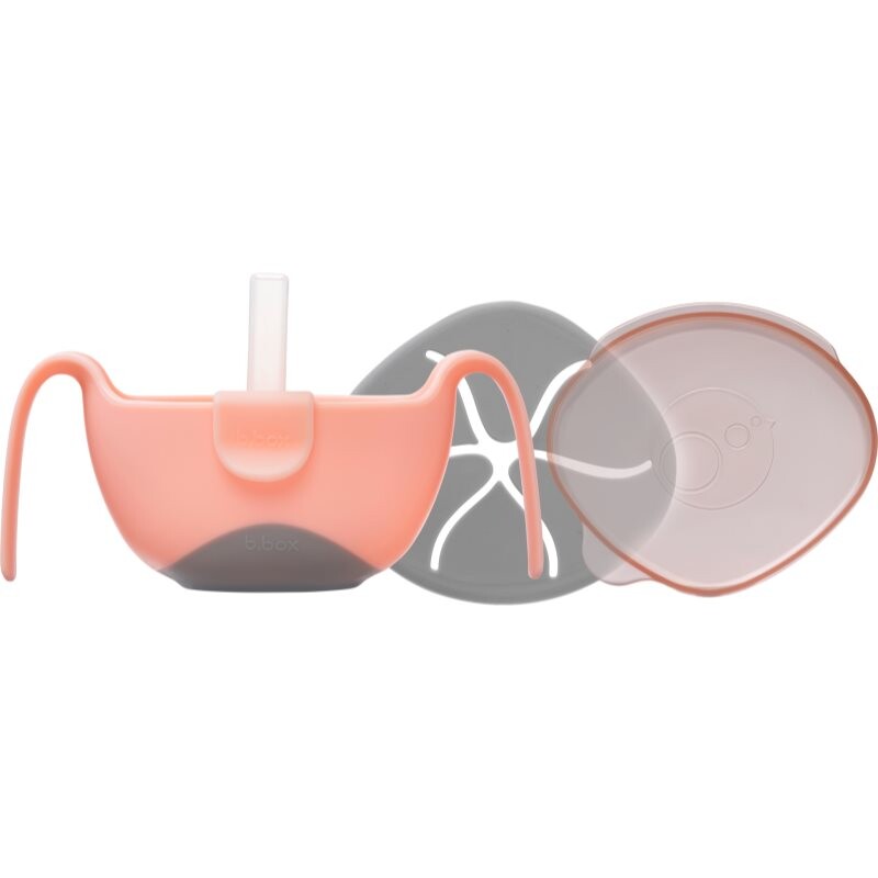 b.box 3 in 1 Bowl & Straw bowl with straw Tutti Fruitti 250 ml