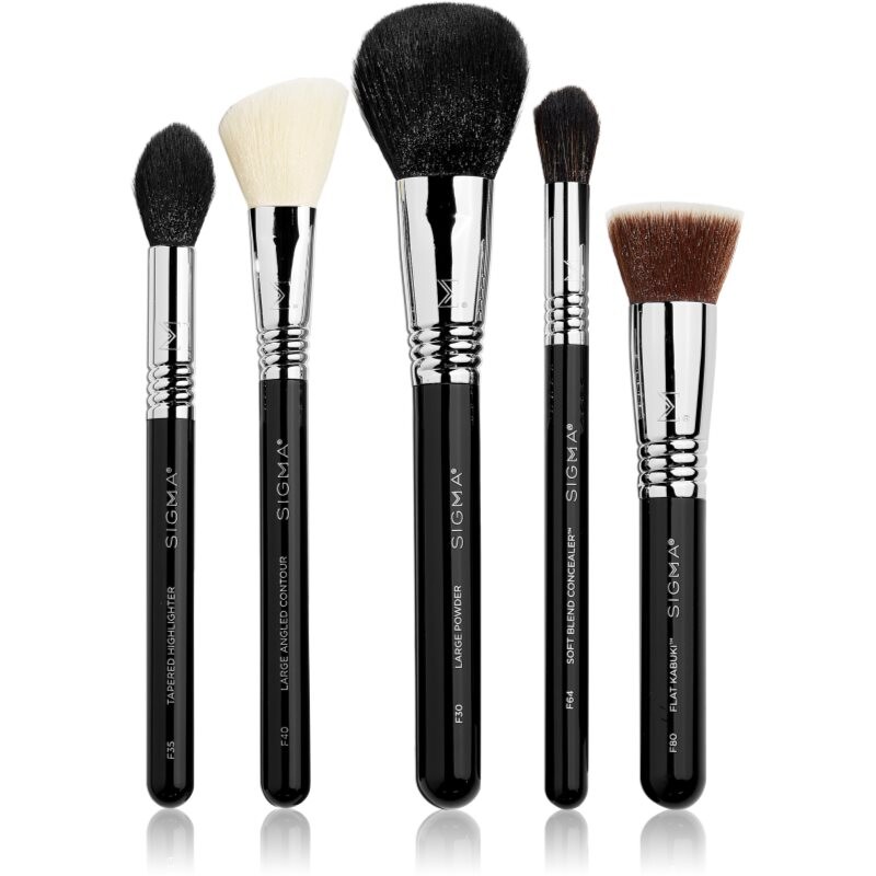 Sigma Beauty Brush Collection brush set 5 pc