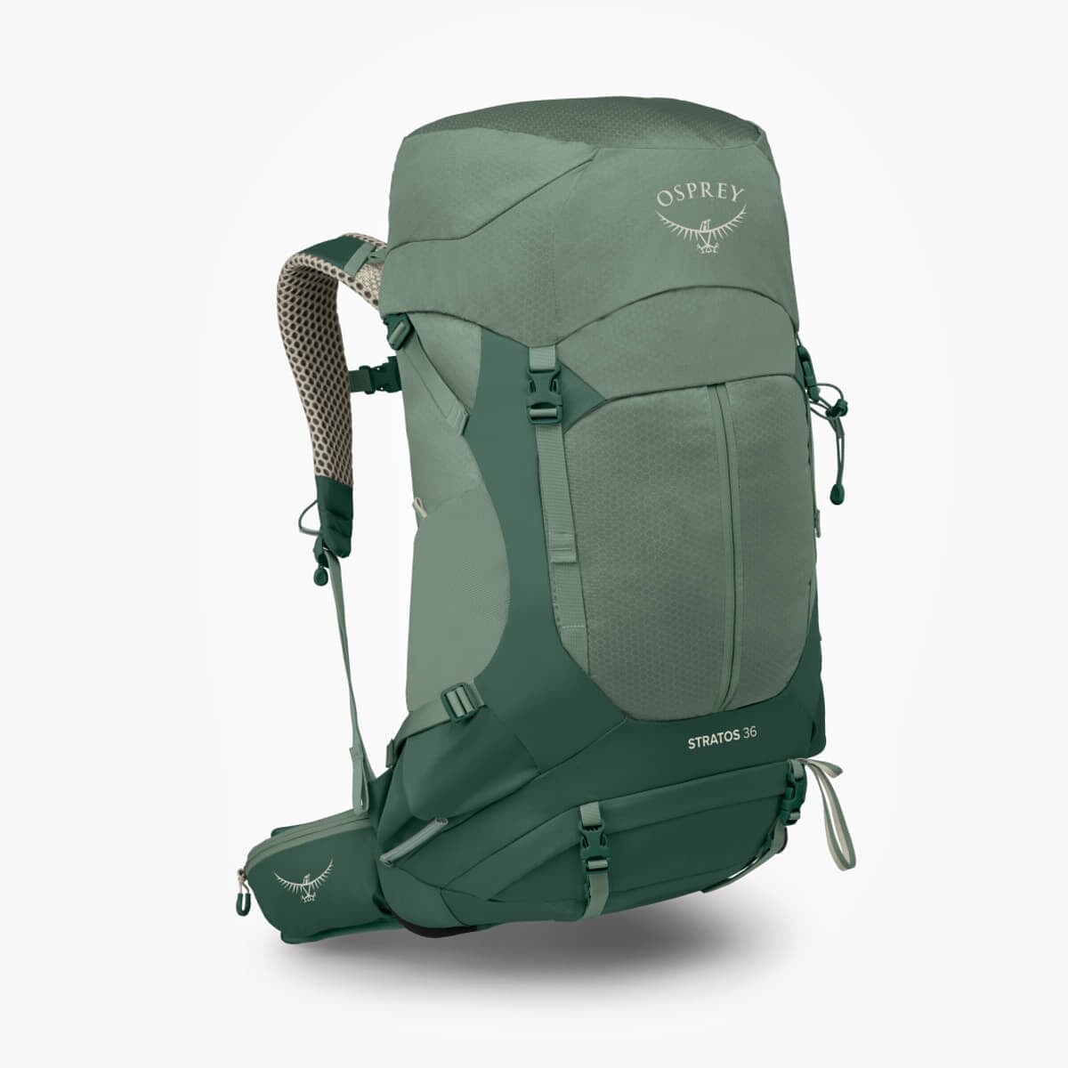 Osprey Stratos 36 Pine Leaf Green Universal