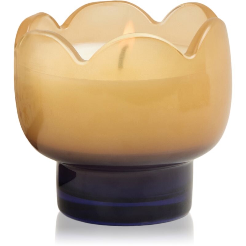 Paddywax Tulip Garden & Grove scented candle 155 g