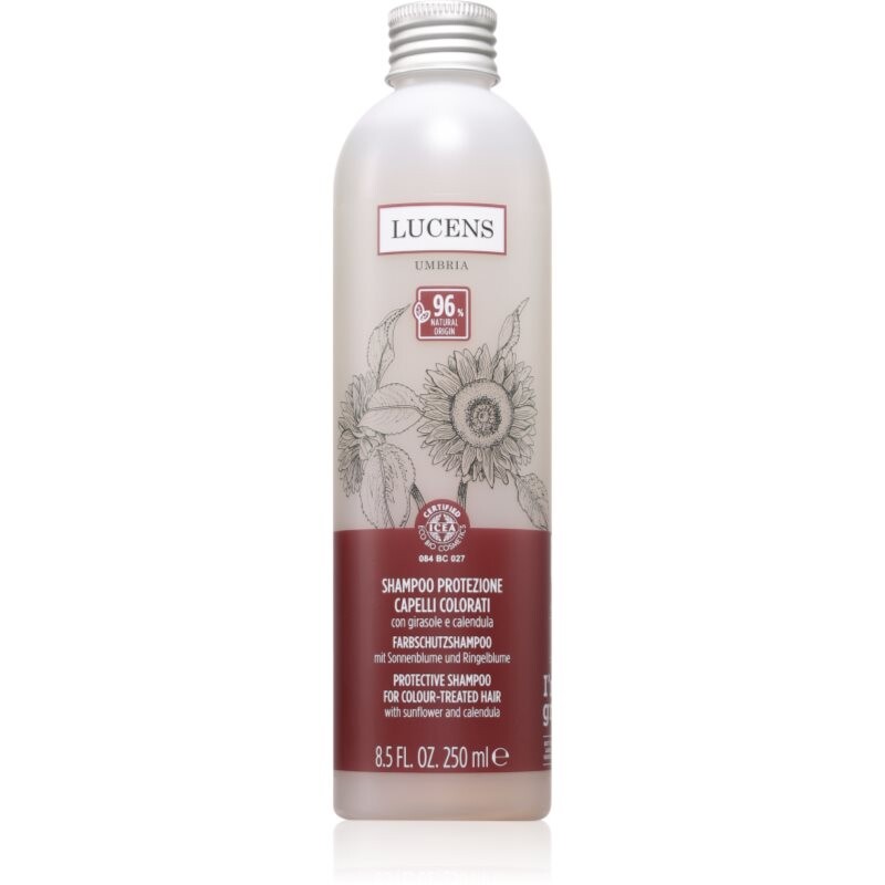 Kemon Group Shampoo Protezione shampoo for colour protection 250 ml