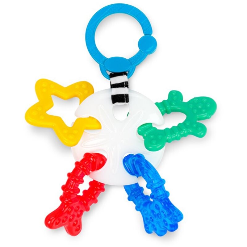 Baby Einstein Ocean Explorers Sea of Sensory Teether Toy chew toy 3 m+ 1 pc