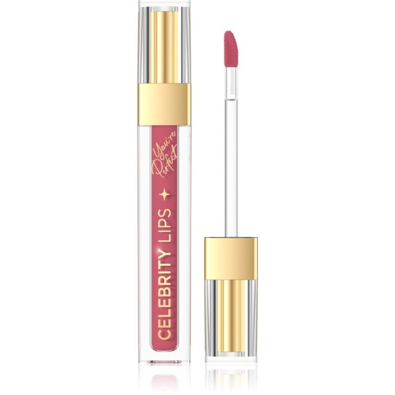 Eveline Cosmetics Celebrity Lips long-lasting matt liquid lipstick shade 07C 4 ml