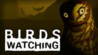 Birds Watching