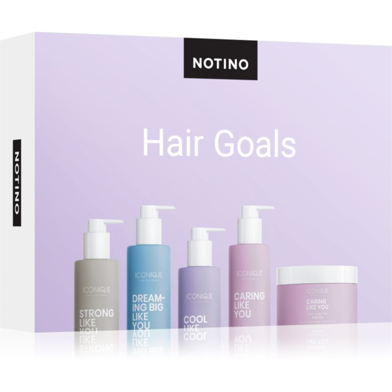 Beauty Discovery Box Notino Hair Goals set for women