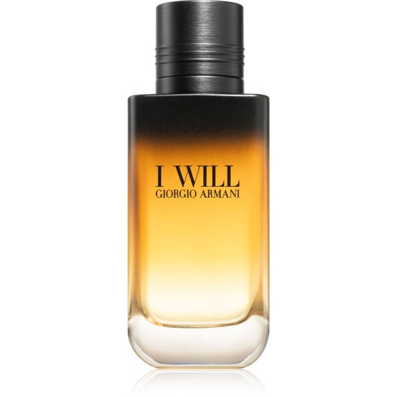 Armani I Will eau de parfum for men 100 ml