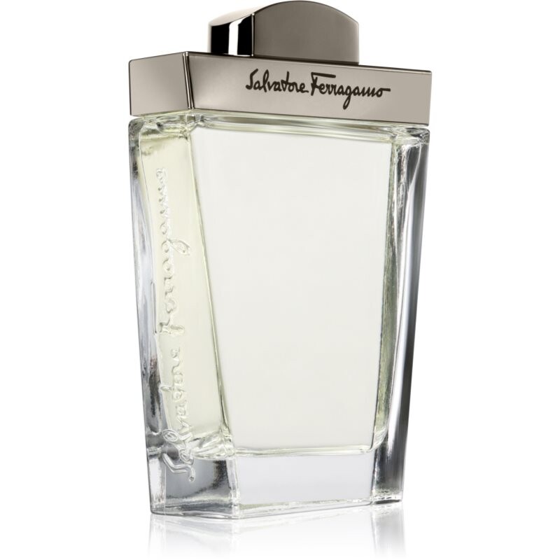 Ferragamo Pour Homme eau de toilette for men 100 ml