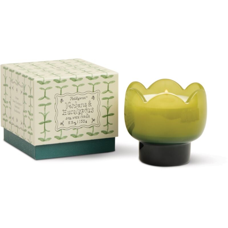 Paddywax Tulip Verbena & Lemongrass scented candle 155 g