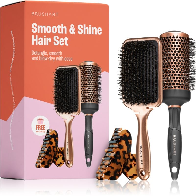 BrushArt Hair Smooth & Shine Hair Set gift set for hair