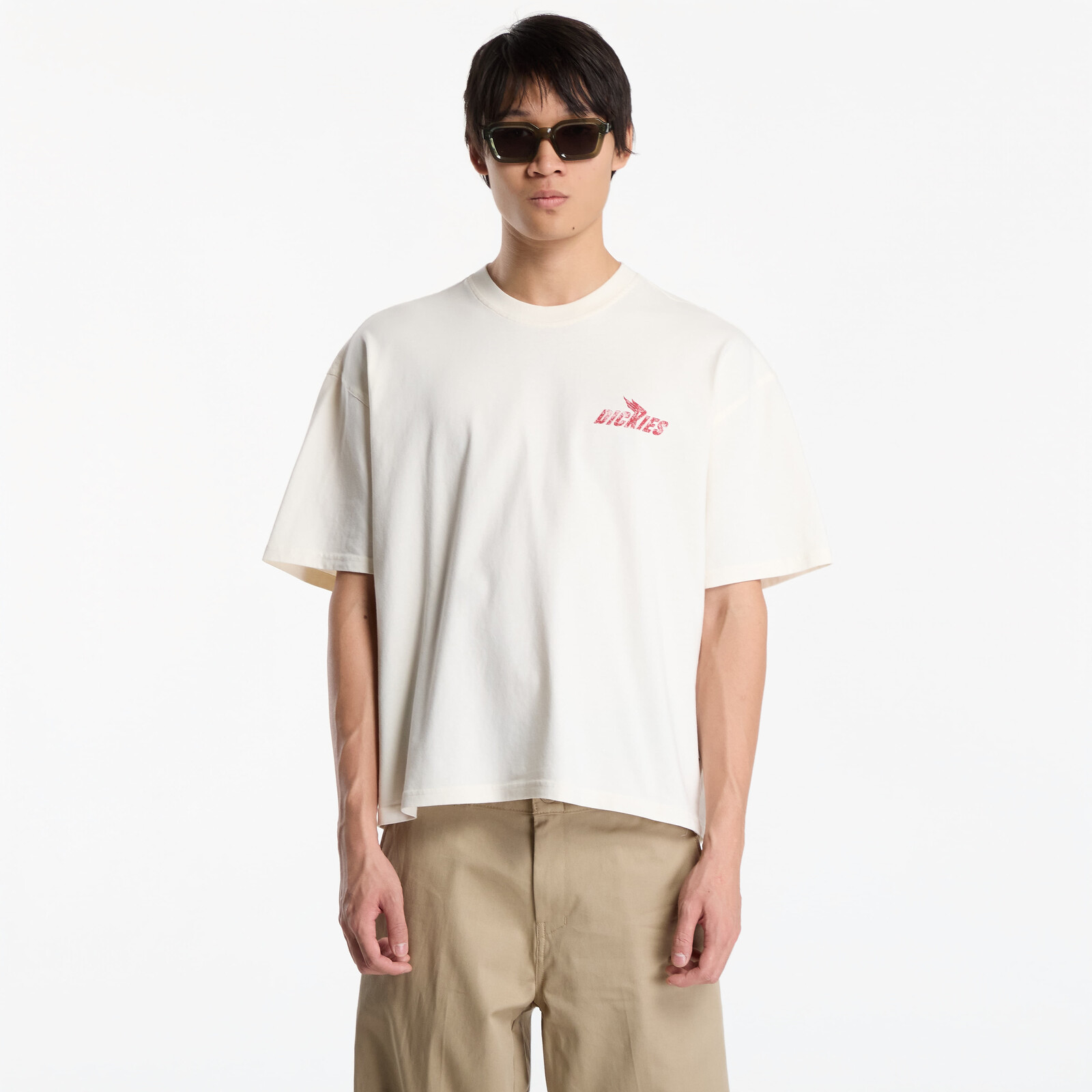 T-shirt Dickies Shonto SS Tee Beige XXL