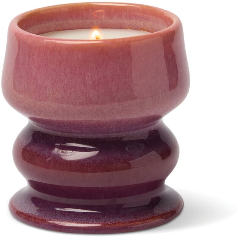 Paddywax Melt Wild Fig & Cedar scented candle ceramics 240 g