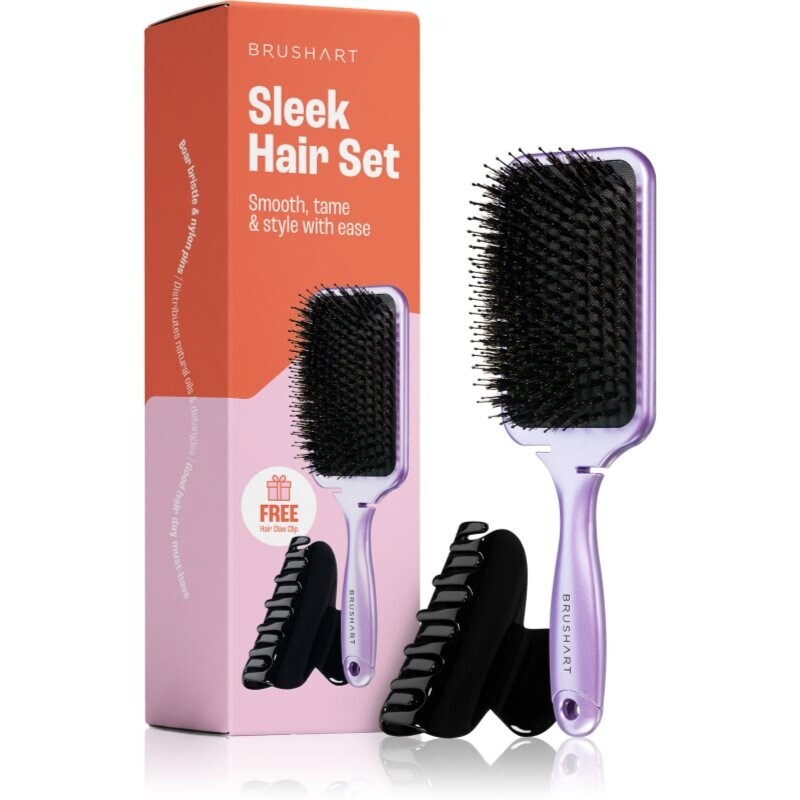 BrushArt Hair Sleek Hair Set economy pack for hair