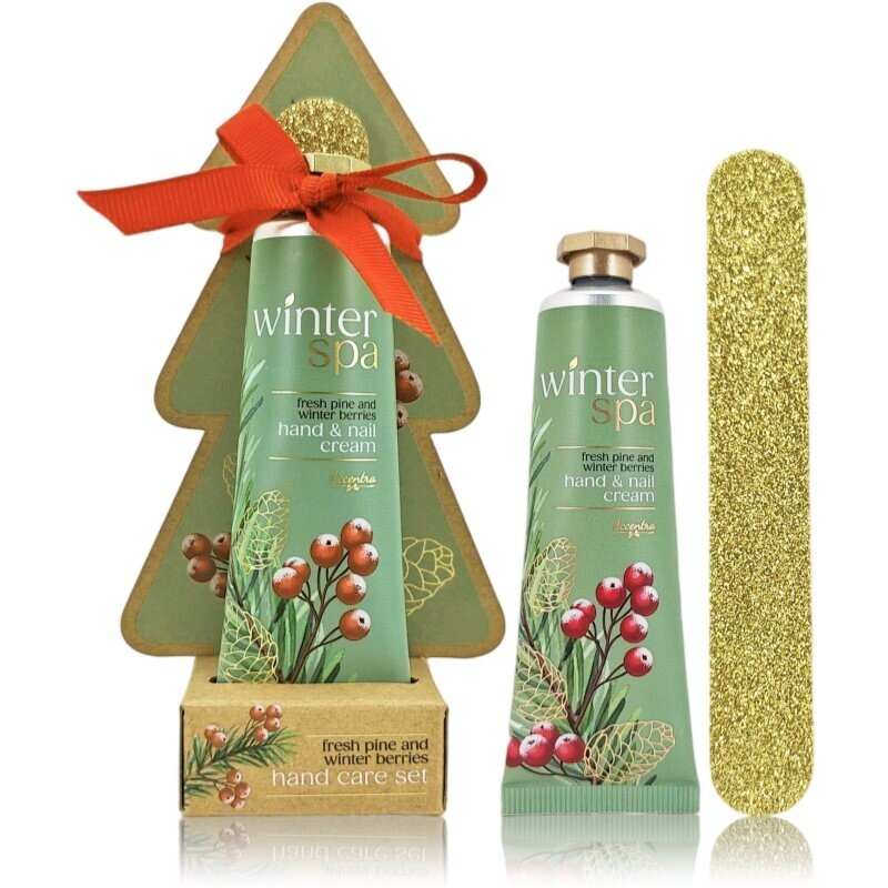 Accentra Winter Spa Hand Care Set gift set for hands and nails 2 pc