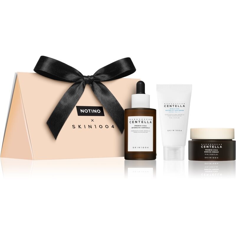 Beauty Discovery Bag Exclusive Notino × SKIN1004 gift set for women