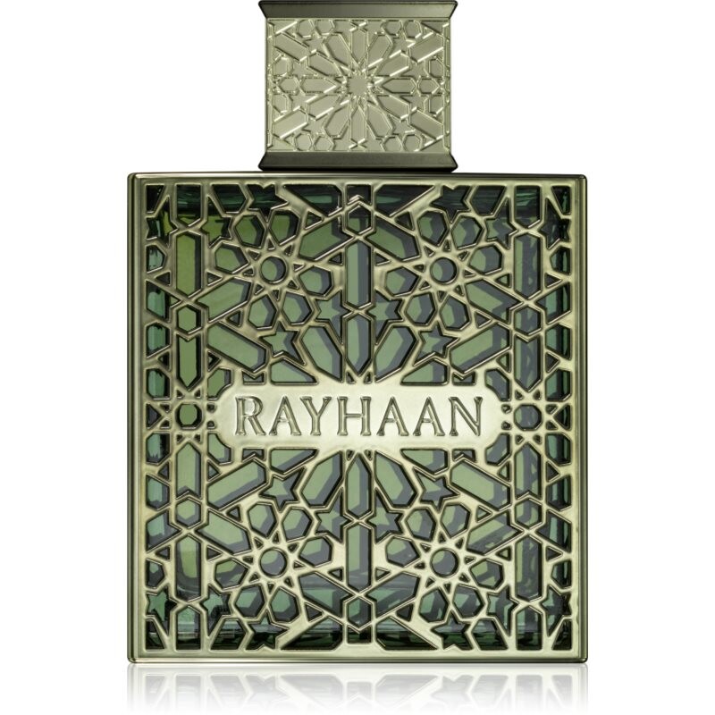 Rayhaan Terra eau de parfum for men 100 ml
