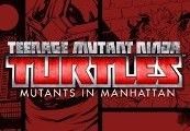 Teenage Mutant Ninja Turtles: Mutants in Manhattan Steam CD Key