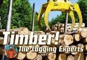 Timber! The Logging Experts Steam CD Key