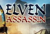 Elven Assassin EU Steam Altergift