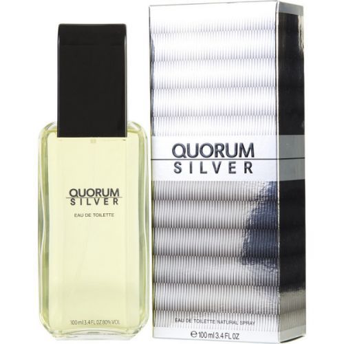 Antonio Puig - Quorum Silver 100ML Eau de Toilette Spray