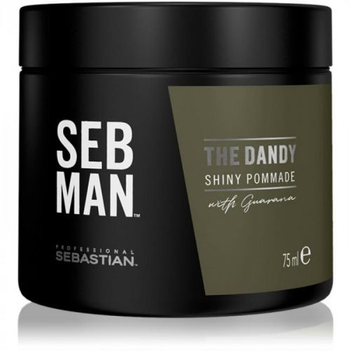 Sebastian Professional SEB MAN The Dandy Hair Pomade For Natural Fixation 75 ml