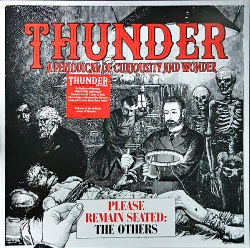 Thunder RSD - Please Remain Seated - The Others (Vinyl LP)