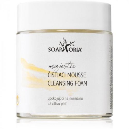 Soaphoria Care Moisturising and Soothing Cleansing Foam for Sensitive Skin 100 ml