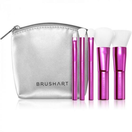 BrushArt MINI brush set with pouch