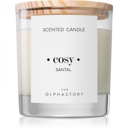 Ambientair Olphactory Santal scented candle (Cosy) 200 g