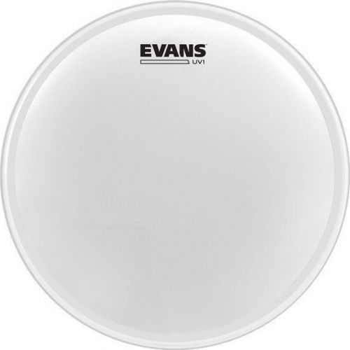 Evans B12UV1 12