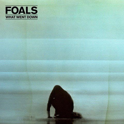 Foals What Went Down (Vinyl LP)