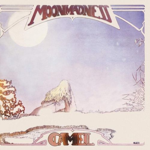 Camel Moonmadness (Rematsered) (Vinyl LP)