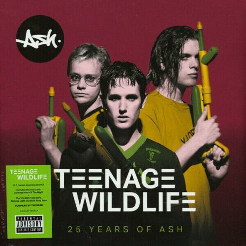 Ash Teenage Wildlife - 25 Years Of Ash (2 LP)