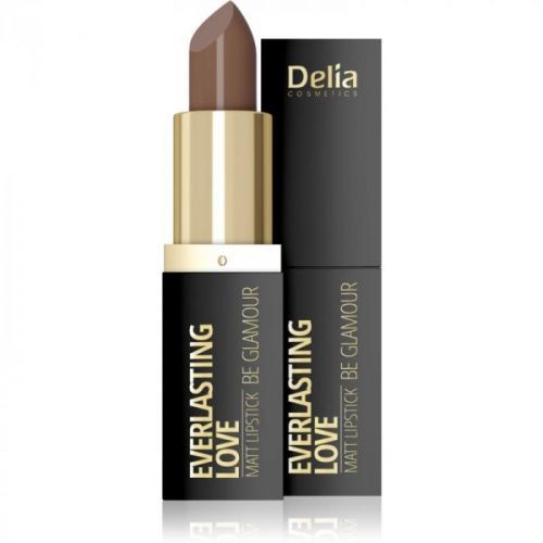 Delia Cosmetics Everlasting Love Be Glamour Matte Lipstick Shade 302 funny 4 g