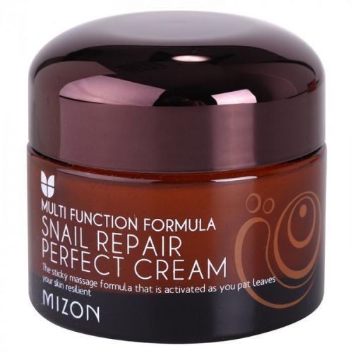Mizon Multi Function Formula Snail Face Cream With Filtered Snail Mucous 60% 50 ml