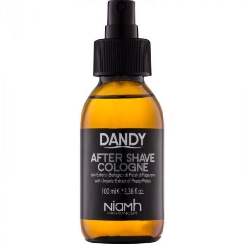 DANDY After Shave Aftershave Water 100 ml