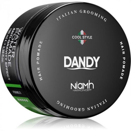 DANDY Water Pomade Anti-Gravity Effect Firming Hair Grease 100 ml