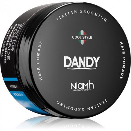 DANDY Water Pomade Extreme Shine Hair Pomade 100 ml