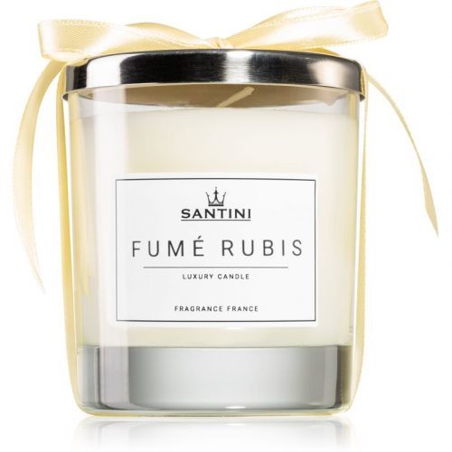 SANTINI Cosmetic Fumé Rubis scented candle 220 g
