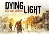 Dying Light - Cuisine & Cargo DLC Uncut Steam CD Key