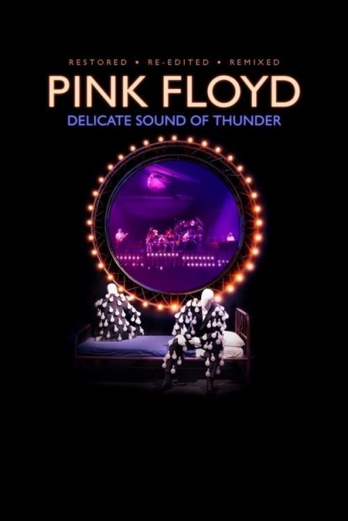 Pink Floyd Delicate Sound Of Thunder (Box Set)