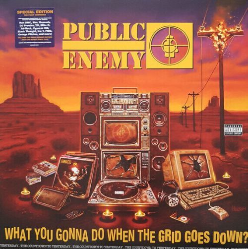 Public Enemy What You Gonna Do When The Grid Goes Down (Vinyl LP)