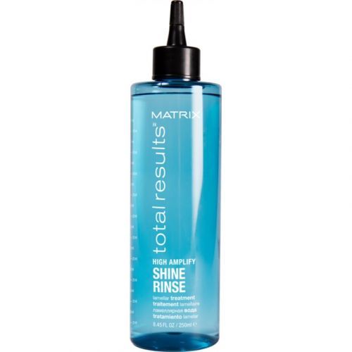 Matrix Total Results High Amplify Moisturizing and Nourishing Treatment for Shine Boost and Elasticity 250 ml