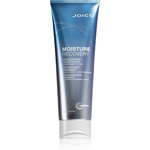 Joico Moisture Recovery Moisturizing Conditioner For Dry Hair 250 ml