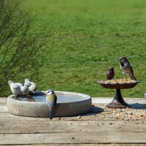 Concrete Bird Bath