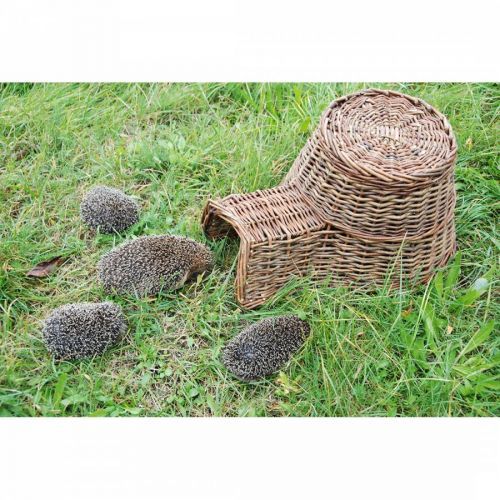 Hedgehog Basket